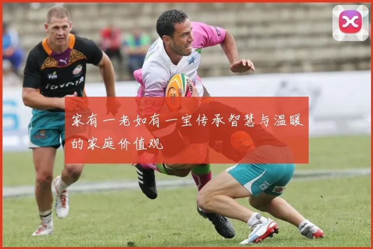 家有一老如有一宝传承智慧与温暖的家庭价值观